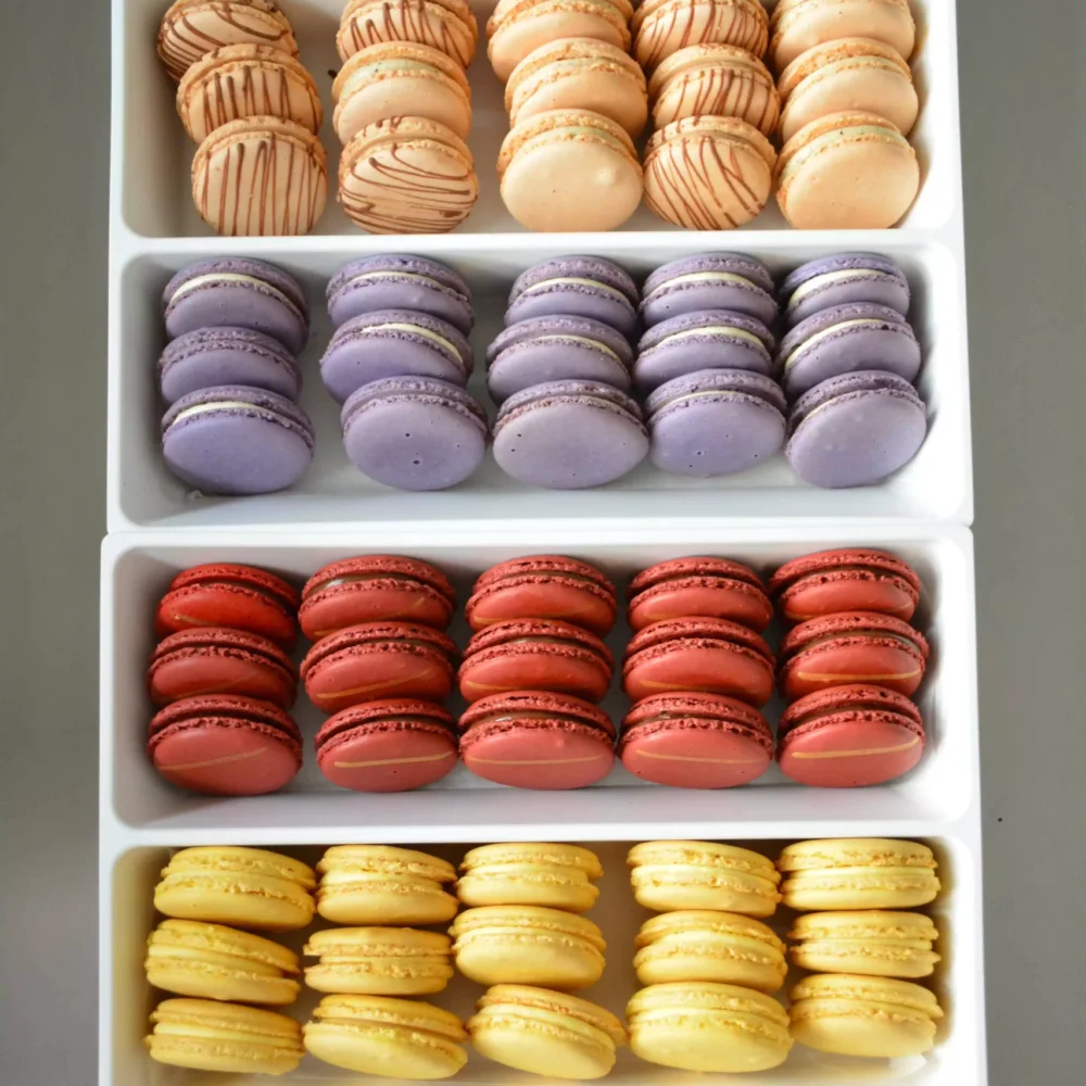 Assorted Box of 6