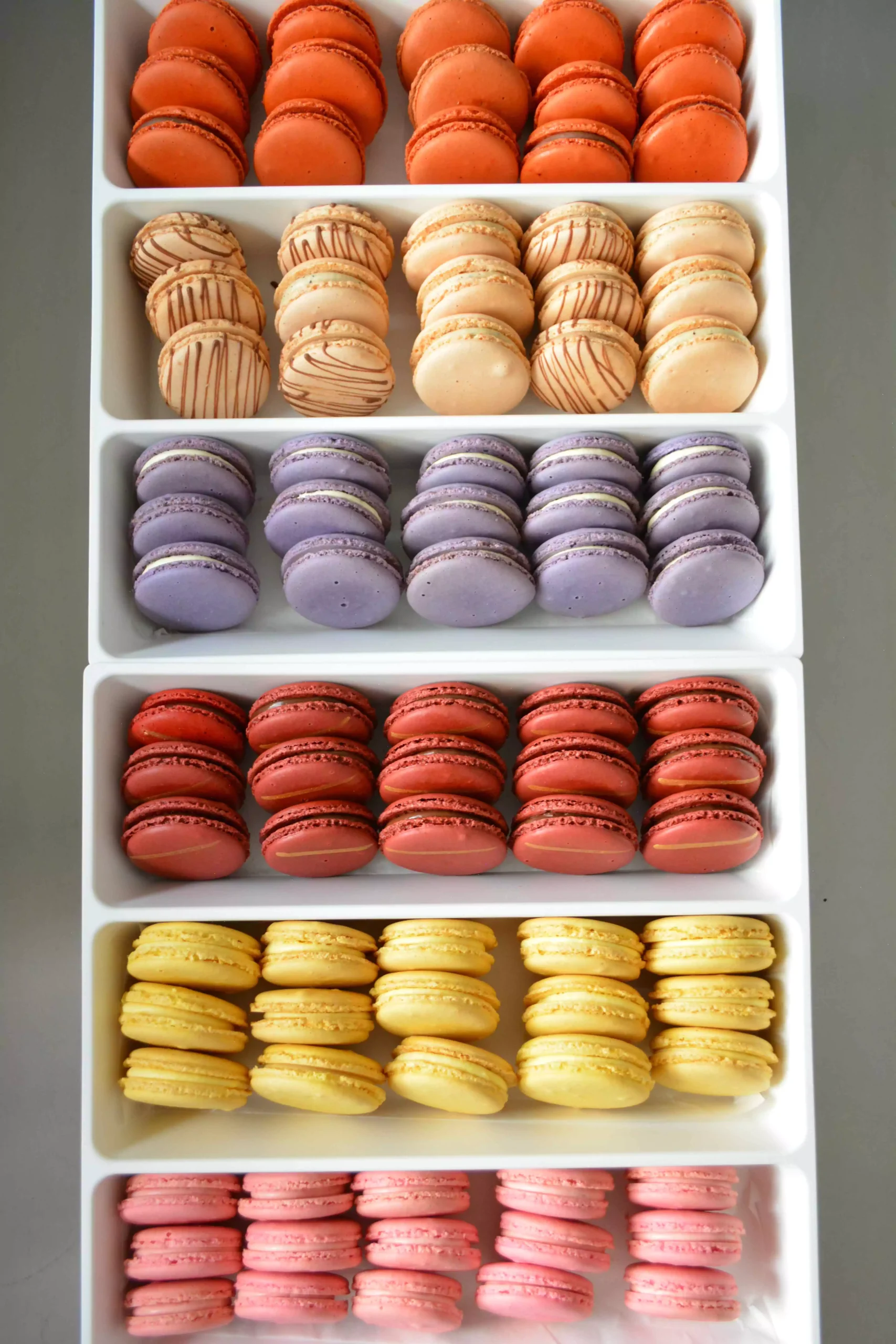 assorted-box-of-6 (1)