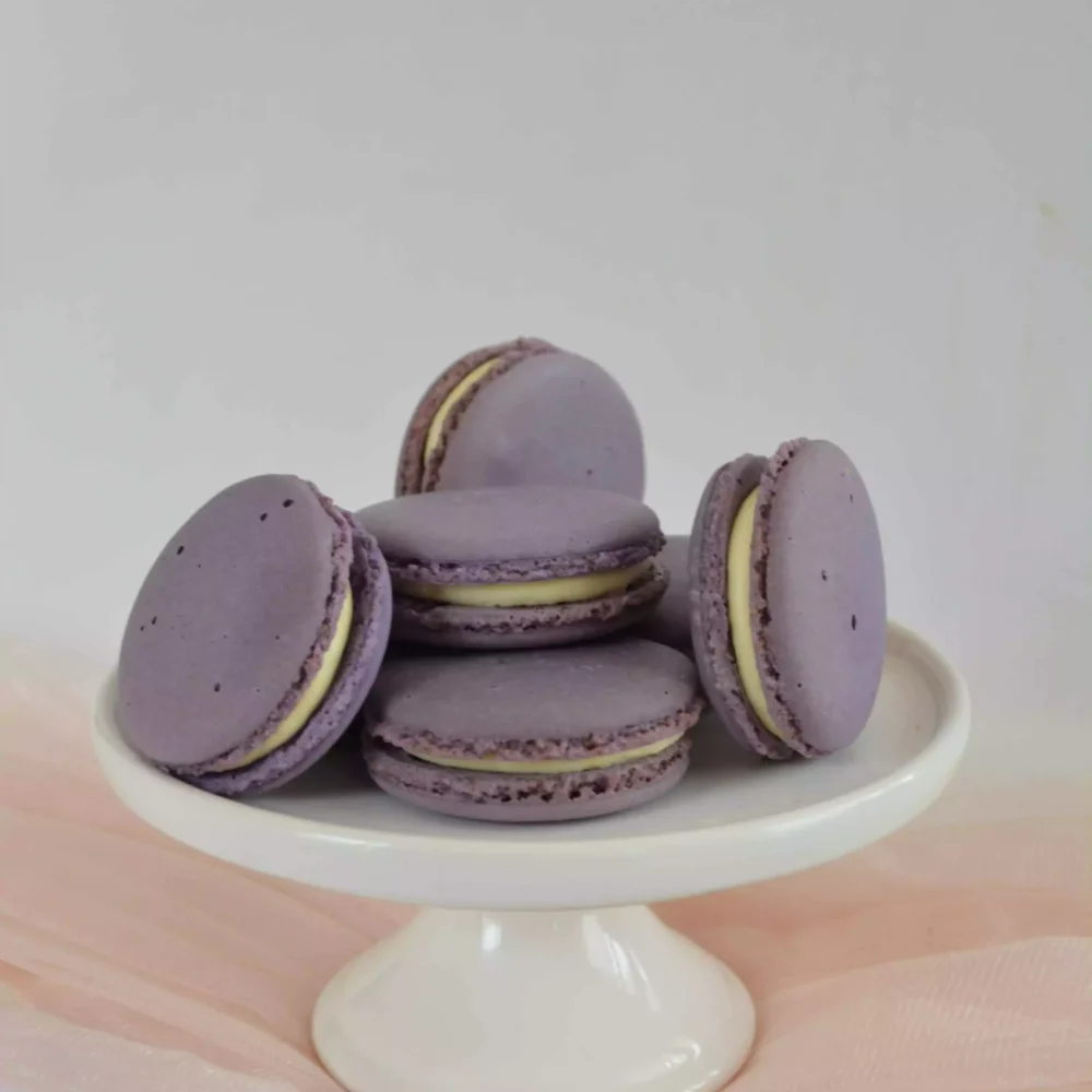 Blueberry & Cream Cheese